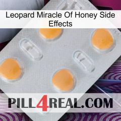 Leopard Miracle Of Honey Side Effects 24